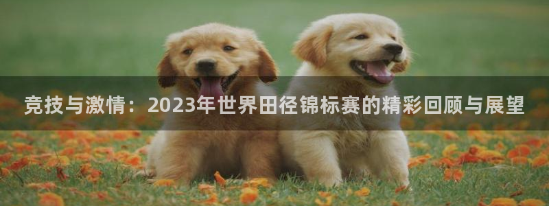 竞技与激情：2023年世界田径锦标赛的精彩回顾与展望