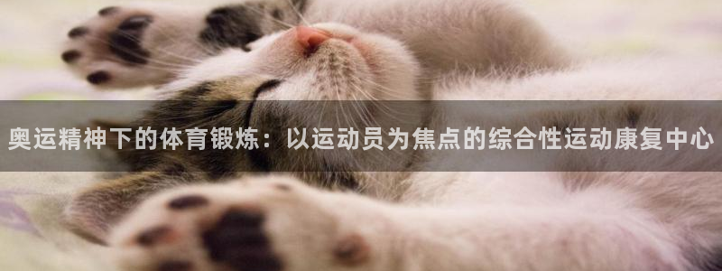 奥运精神下的体育锻炼：以运动员为焦点的综合性运动康复中心